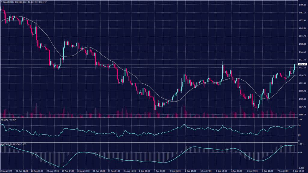 Spot gold chart showing a double bottom formation on the hourly chart which yet to be confirmed on the daily chart. 